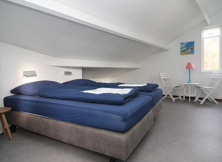 Unterkunft 0101546 - Ferienhaus Texel - Vakantiehuis C 081