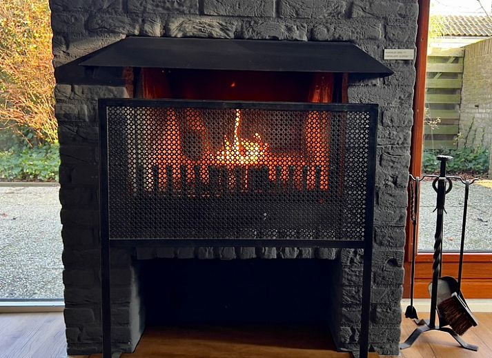 Unterkunft 0101556 - Ferienhaus Texel - Vakantiehuis A 363