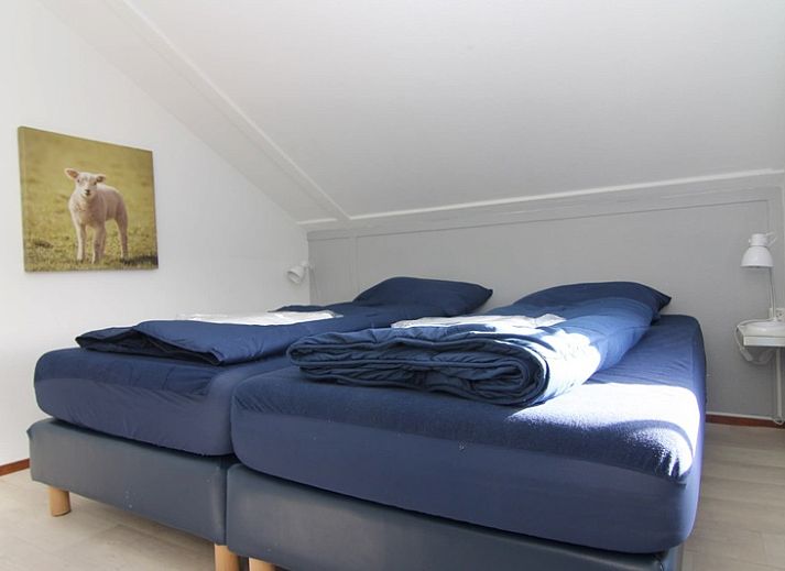 Unterkunft 0101559 - Ferienhaus Texel - Vakantiehuis D 401