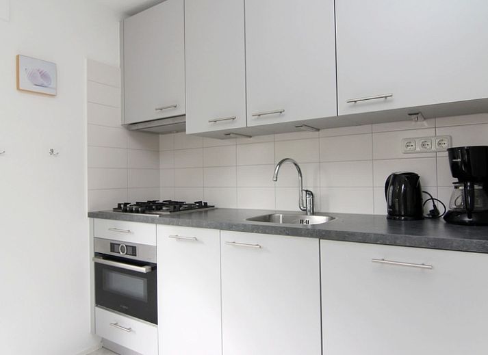 Guest house 0101564 - Holiday property Texel - Vakantiehuis D 533