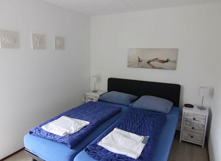 Guest house 0101564 - Holiday property Texel - Vakantiehuis D 533