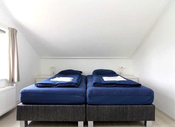 Guest house 0101564 - Holiday property Texel - Vakantiehuis D 533