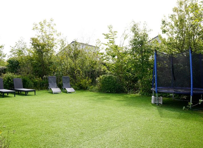 Unterkunft 0101566 - Ferienhaus Texel - Vakantiehuis D 439