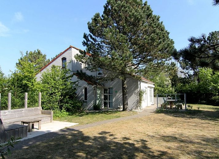 Unterkunft 0101598 - Ferienhaus Texel - Vakantiehuis D 633