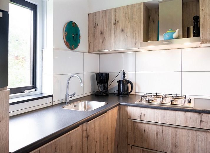 Unterkunft 0101603 - Ferienhaus Texel - Vakantiehuis B 043