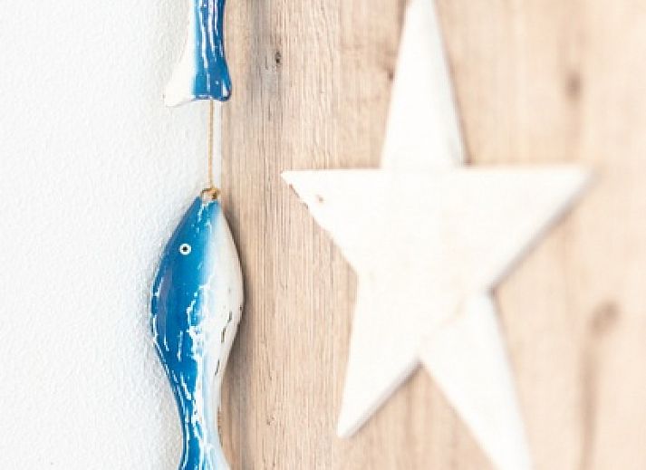 Unterkunft 0101603 - Ferienhaus Texel - Vakantiehuis B 043