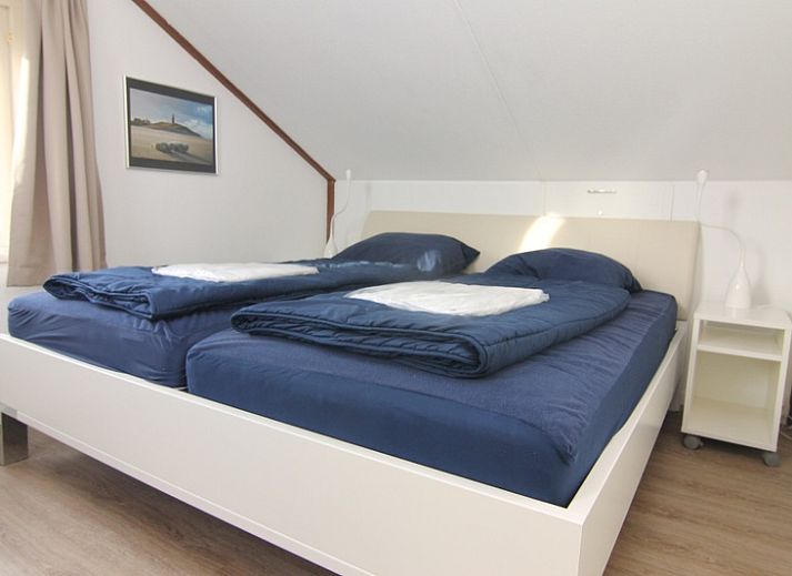Guest house 0101613 - Holiday property Texel - Vakantiehuis F 742