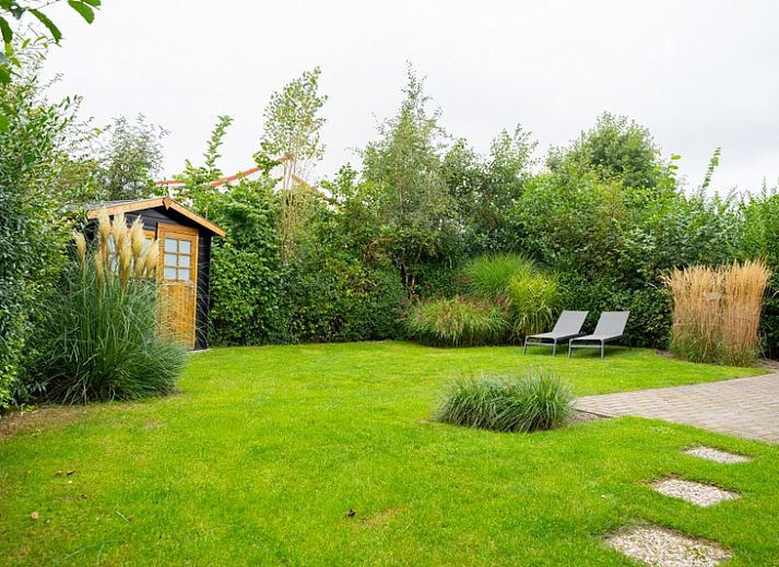 Unterkunft 0101662 - Ferienhaus Texel - Vakantiehuis E 541