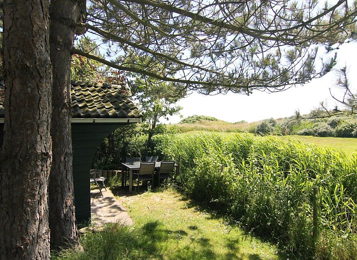 Unterkunft 0101675 - Ferienhaus Texel - Vakantiehuis LB 771
