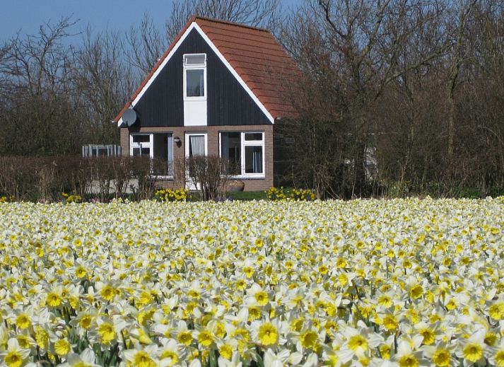 Bungalow Klein Axel in De Cocksdorp, Texel mit einer sonnigen Terrasse und gruener Umgebung.