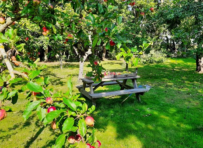 Gemuetliches Wohnzimmer des Ferienhauses Paal 86 Texel in De Cocksdorp mit Ledersofas.