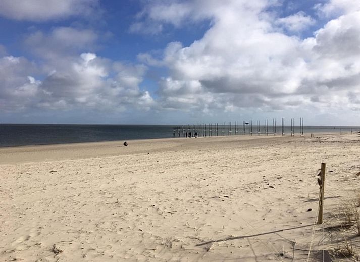 Guest house 0101750 - Apartment Texel - Stoeterij C65