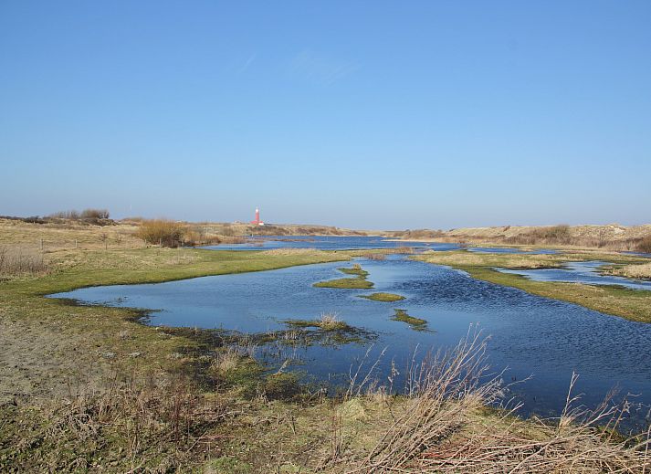 Guest house 0101750 - Apartment Texel - Stoeterij C65