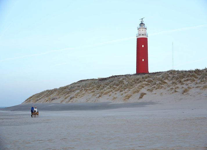 Guest house 0101750 - Apartment Texel - Stoeterij C65