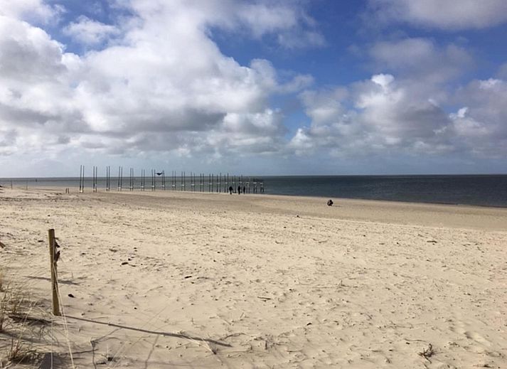 Guest house 0101750 - Apartment Texel - Stoeterij C65