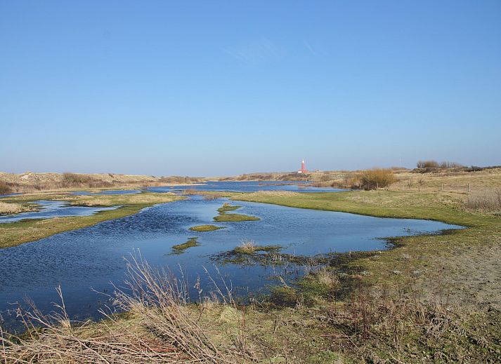 Guest house 0101750 - Apartment Texel - Stoeterij C65