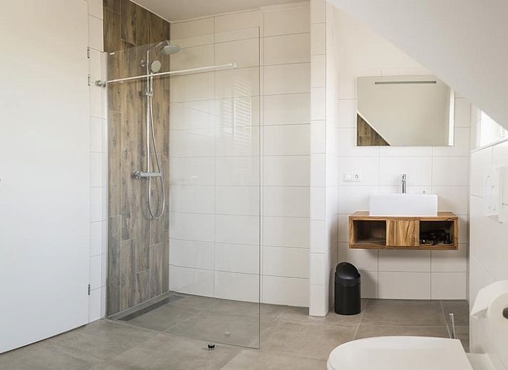 Guest house 0101778 - Holiday property Texel - F-Luxe villa met wellness