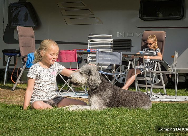 Guest house 0101819 - Holiday property Texel - Standaard plaats blauw