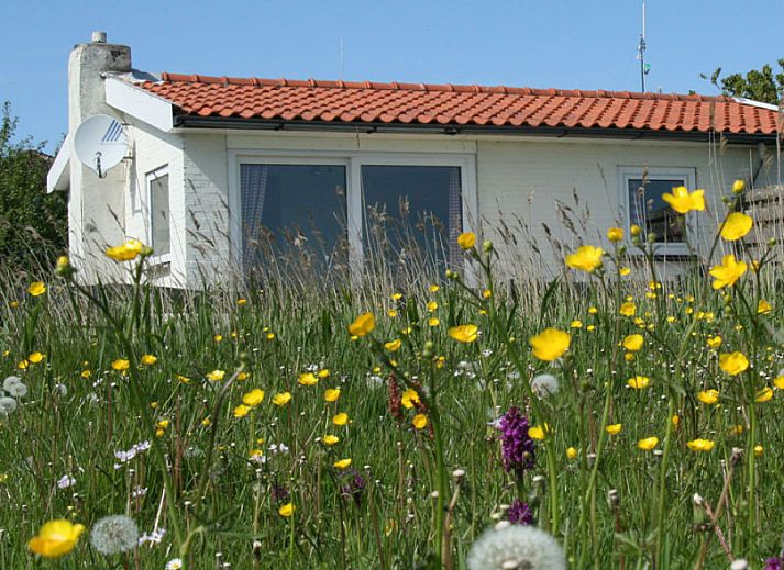 Guest house 010182 - Holiday property Texel - De Roggesloot