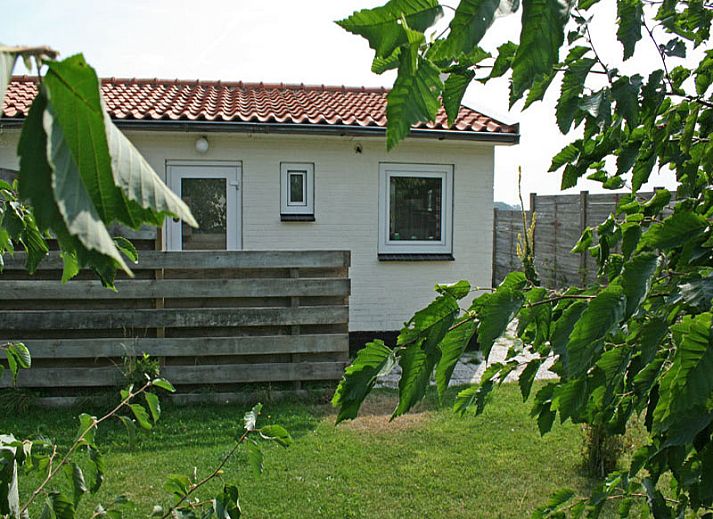 Guest house 010182 - Holiday property Texel - De Roggesloot