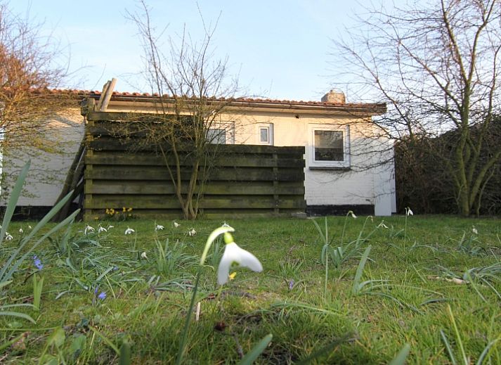 Guest house 010182 - Holiday property Texel - De Roggesloot