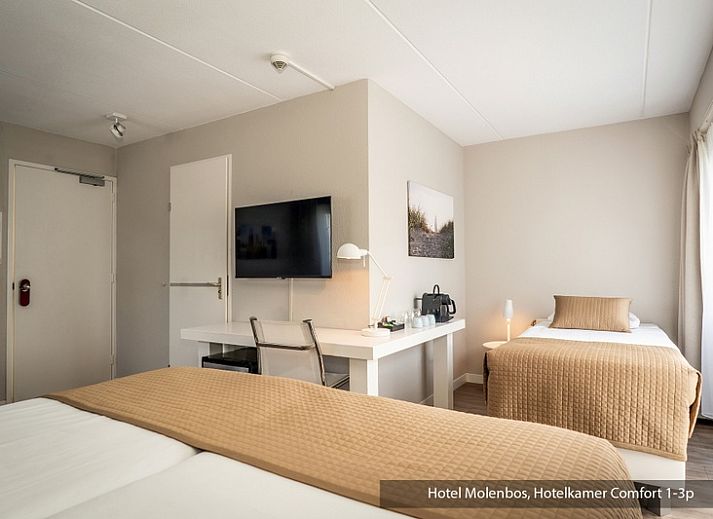 Guest house 0101846 - Holiday property Texel - Driepersoons kamer - Bad/douche/toilet