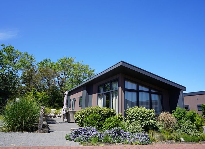 Guest house 010191 - Holiday property Texel - Chalet 29 Nevada