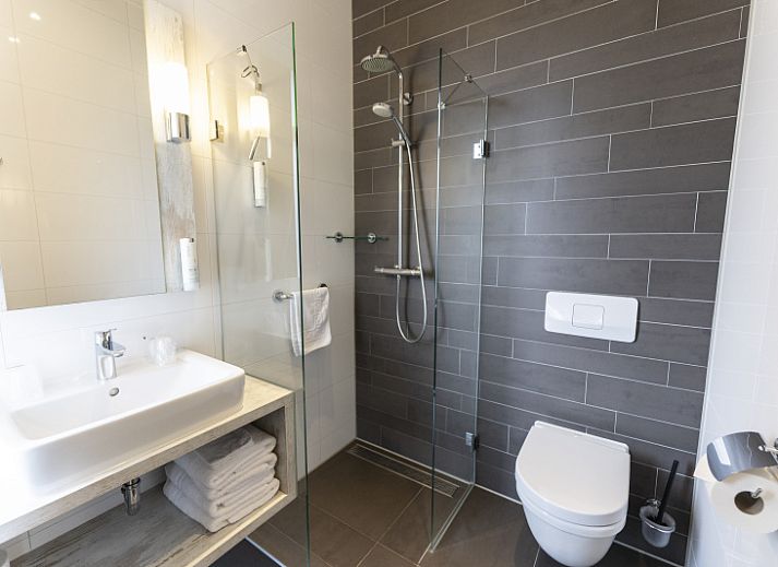 Guest house 01021025 - Holiday property Texel - Tweepersoons kamer met balkon - Douche/toilet