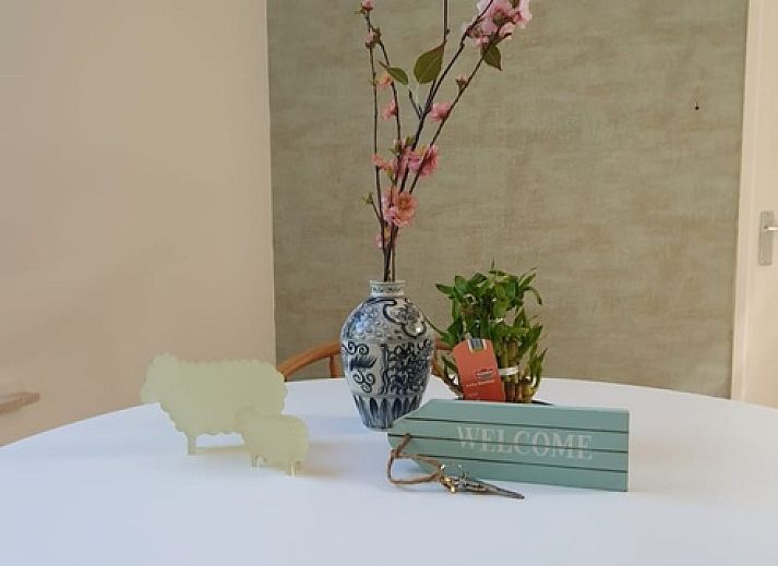 Modern kitchen in vacation home Huisje Quirijn, De Koog Texel with wooden cabinets and light through skylight.