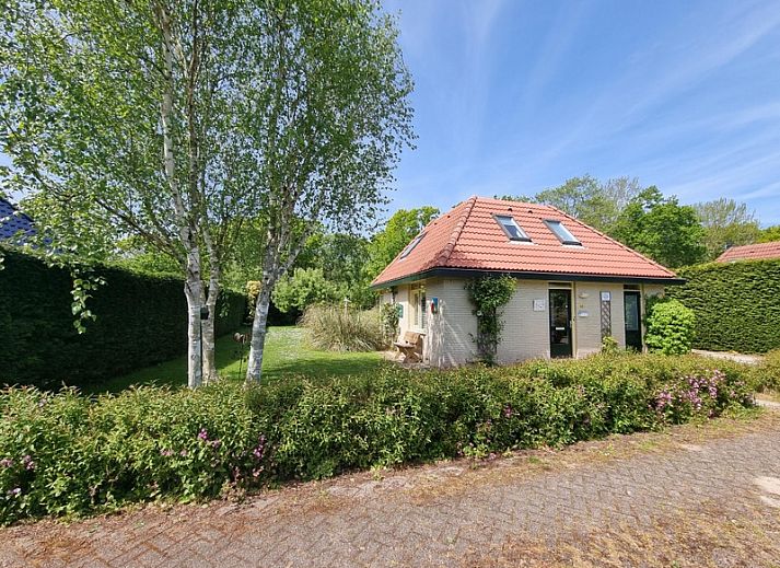 Residence California - Geborchenheit - 361, vacation home in De Koog, Texel with green garden and charming facade.