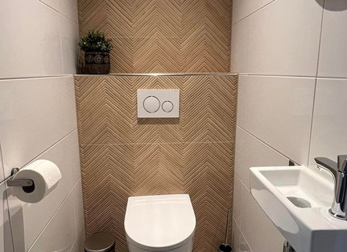 Guest house 0102134 - Holiday property Texel - Vakantiehuis Noordwester