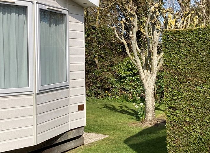 Unterkunft 0102178 - Ferienhaus Texel - Camping Coogherveld - Chalet Jori