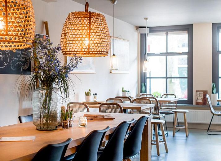 Guest house 010218 - Apartment Vlieland - Leut koffiebar &amp; logies