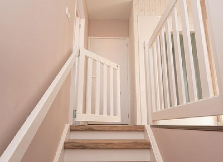 Guest house 0102198 - Holiday property Texel - Mienterbos - Heideglop