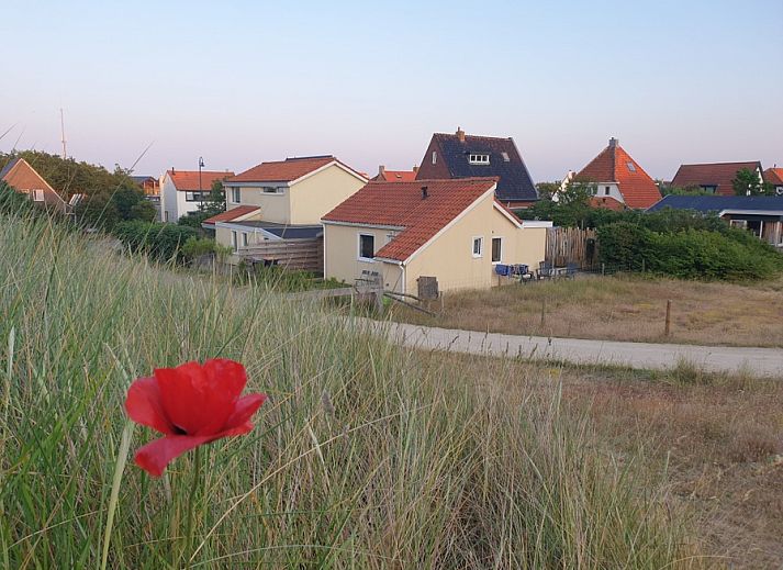 De Duinpan - Dune House Texel in De Koog, surrounded by dunes and colorful flowers, ideal for nature lovers.