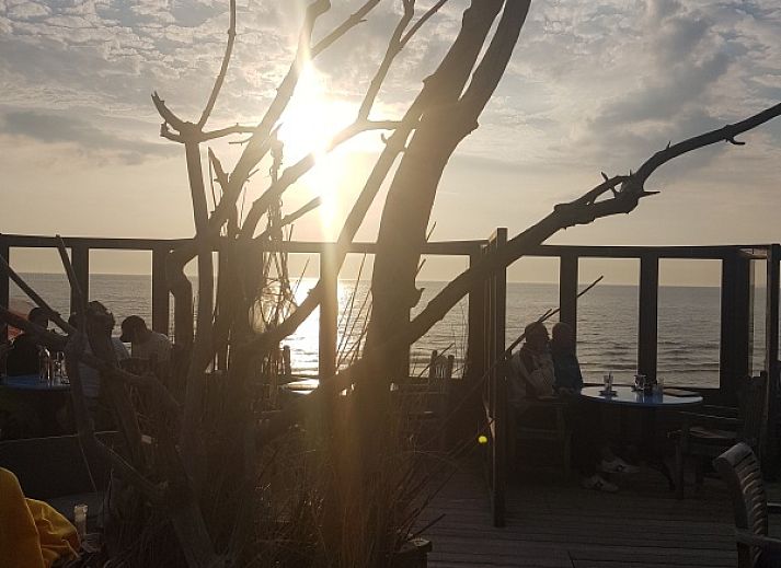 Terrace of vacation home De Anemoon in De Koog, Texel, with modern garden furniture and green surroundings.