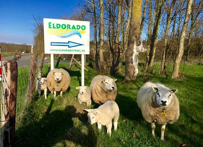 Wohnen im Freien bei 6-8 Pers. Wellness Landhuis in De Koog, Texel mit moderner Veranda.