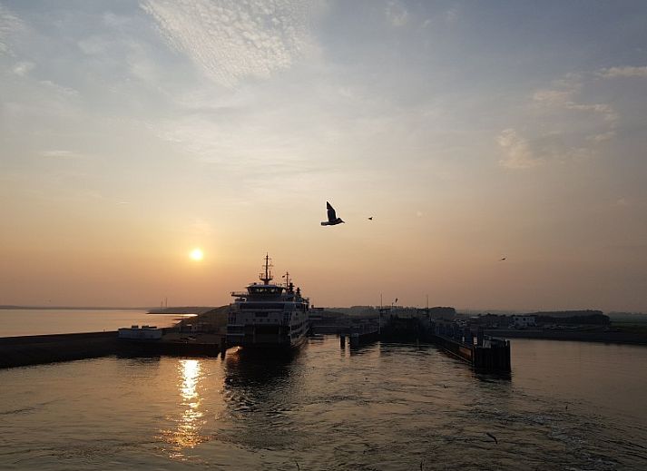 Unterkunft 01022513 - Ferienhaus Texel - Zilt aan Zee | Vakantiehuis Texel