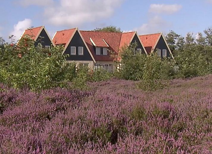 Guest house 01022522 - Holiday property Texel - landleven 4/5 pers. confortabel vakantiehuis
