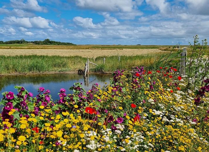Unterkunft 010225 - Ferienhaus Texel - uitzicht ,'t Eylandt