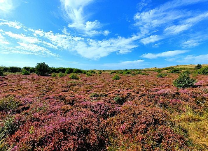 Unterkunft 010225 - Ferienhaus Texel - uitzicht ,'t Eylandt