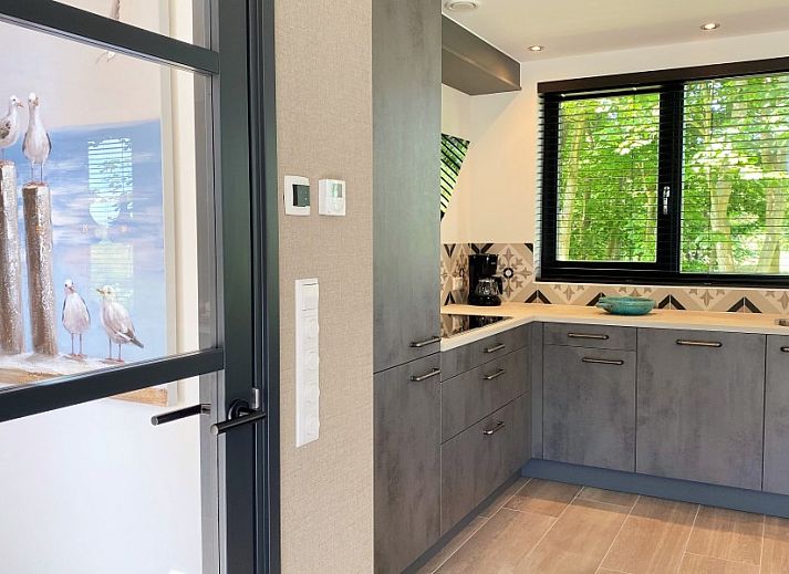 Vakantiewoning 6 Pers.Landhuis de Luxe Eldorado Texel in De Koog met moderne architectuur.