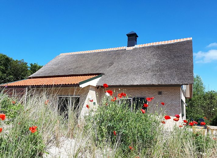 Guest house 0102339 • Holiday property Texel • De Abeel