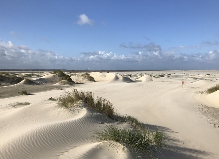 Unterkunft 010236 - Ferienhaus Texel - De Prins / Jonker / Jonkvrouw