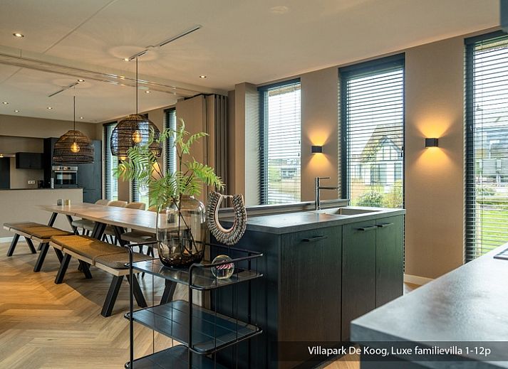 Guest house 0102425 - Holiday property Texel - Luxe familievilla 12p