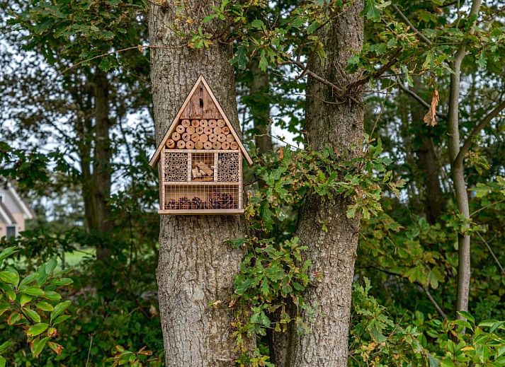 IJsvogel 10 in De Koog Texel met ruime tuin en comfortabele ligstoelen voor ontspanning.