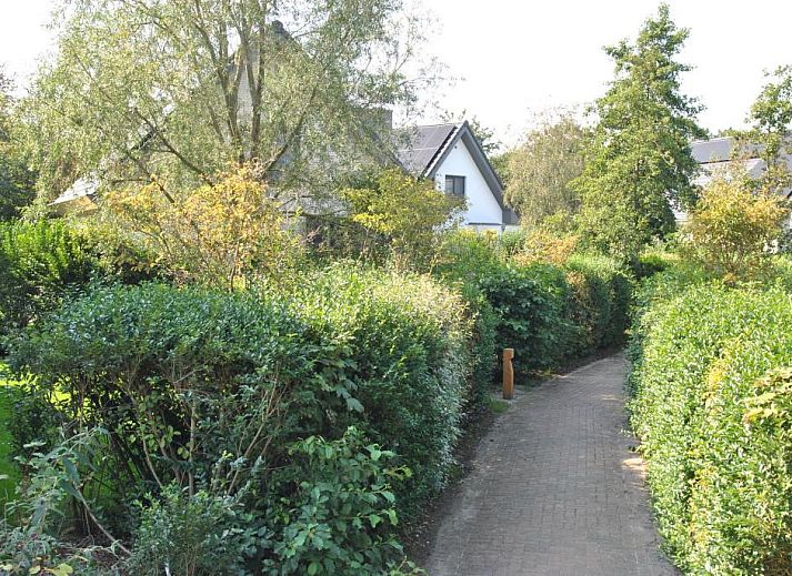 Aussenterrasse von Tapuit 10a, Ferienhaus in De Koog, Texel mit Gartentisch und Stuehlen.