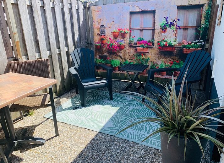 Guest house 0102459 - Holiday property Texel - Texel C