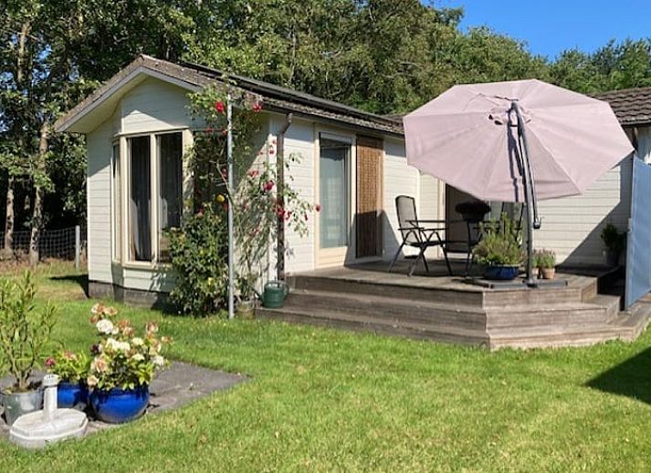 Quiet terrace at Holiday home in De Koog, perfect for relaxation, Texel, Wadden Islands.