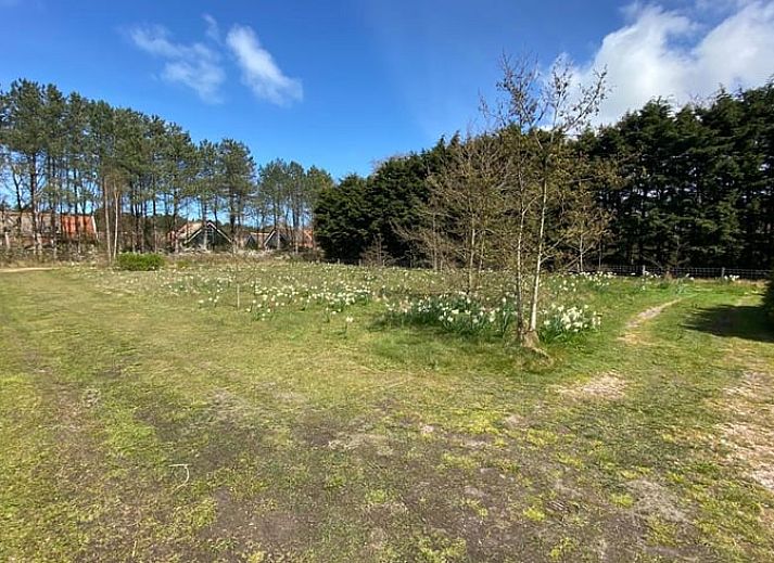 Cozy terrace of Holiday home in De Koog, ideal for outdoor meals, Texel, Wadden Islands.